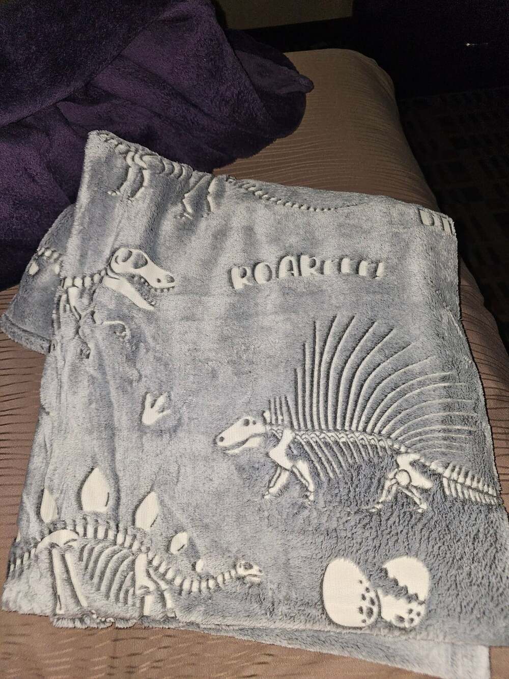 Dinosaur Skeleton Fleece Throw Blanket 50 inch x 60 inch